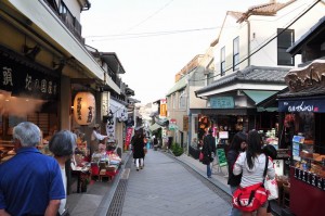 Enoshima view back