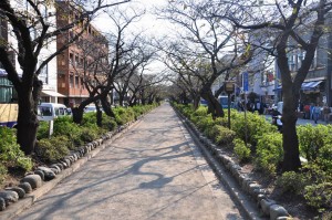 Kamakura main road 3