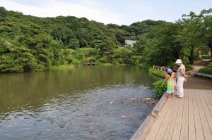 Sankeien, Ooike, children feeding carp