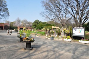 chofu-jindaiji-botanical-garden-02-entrance-from-inside