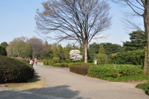 chofu-jindaiji-botanical-garden-05