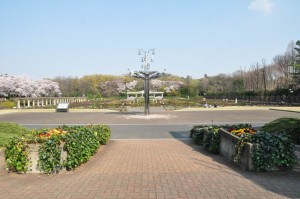 chofu-jindaiji-botanical-garden-20-main-square