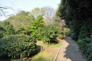 chofu-jindaiji-botanical-garden-30