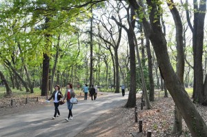 chofu-jindaiji-botanical-garden-34