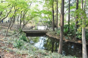 chofu-jindaiji-botanical-garden-35