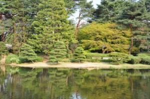 chofu-jindaiji-botanical-garden-49-pond