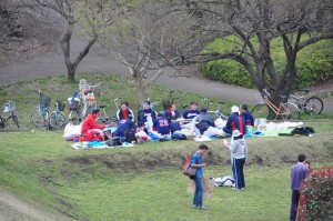 chofu-park-life-3-hanami-closeup