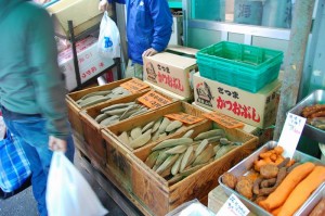 dried-bonito-for-katsuobushi